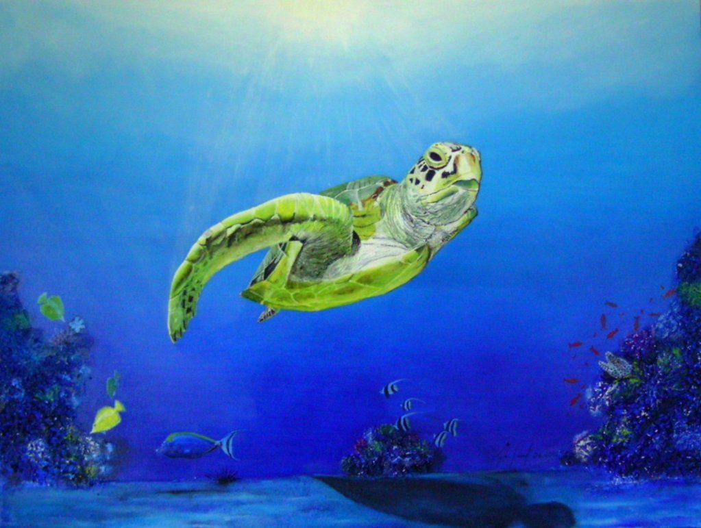 Schildkröte