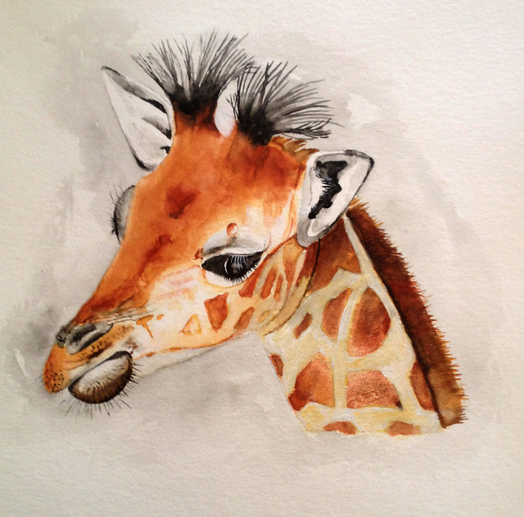 Giraffe