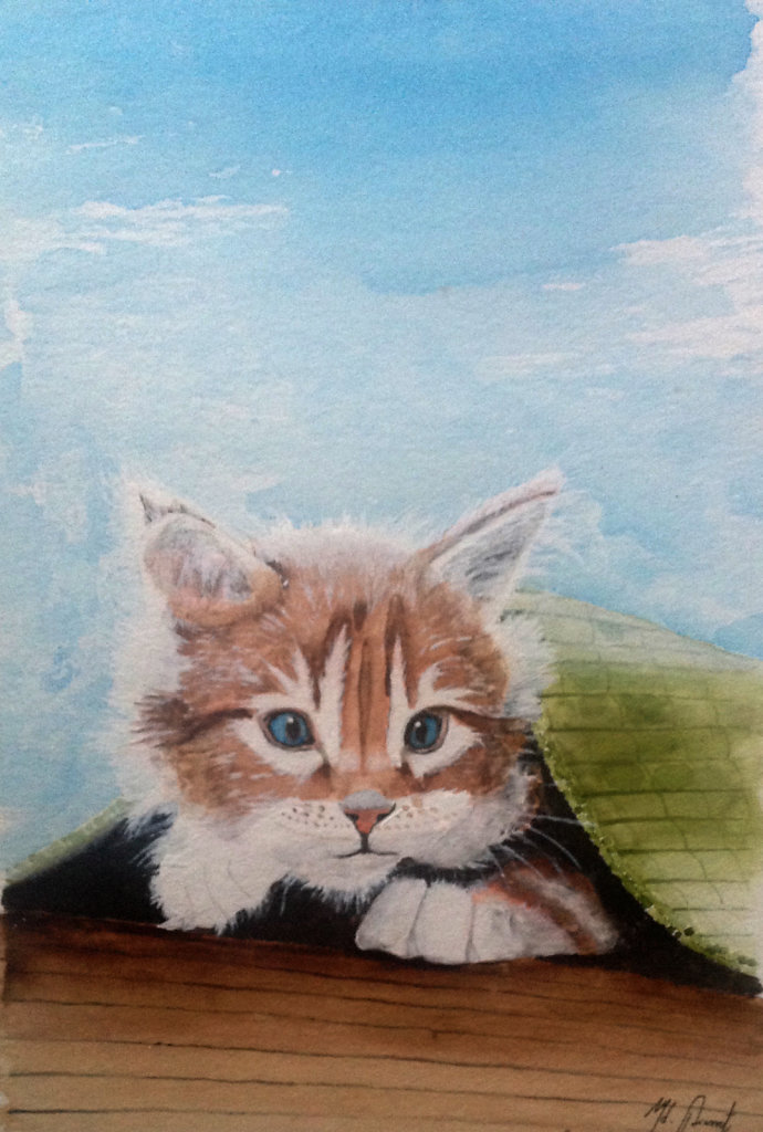 Katze rot