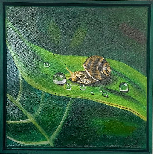 Schnecke