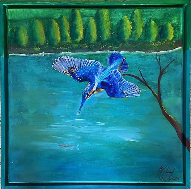 Eisvogel