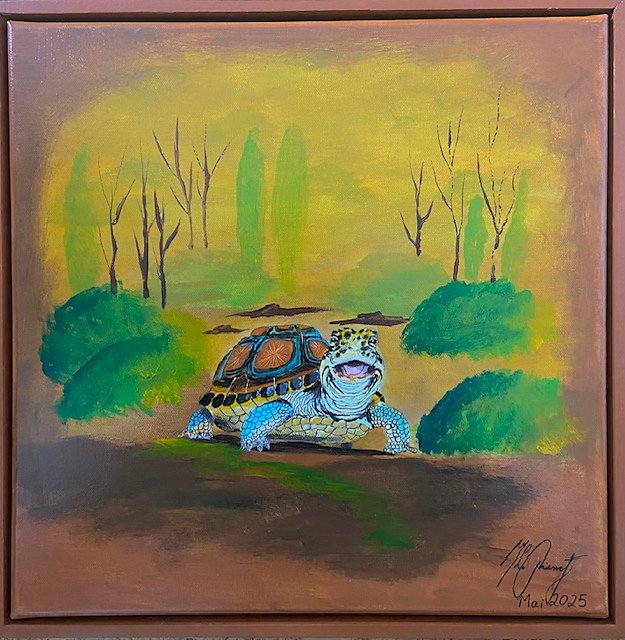 Schildkröte