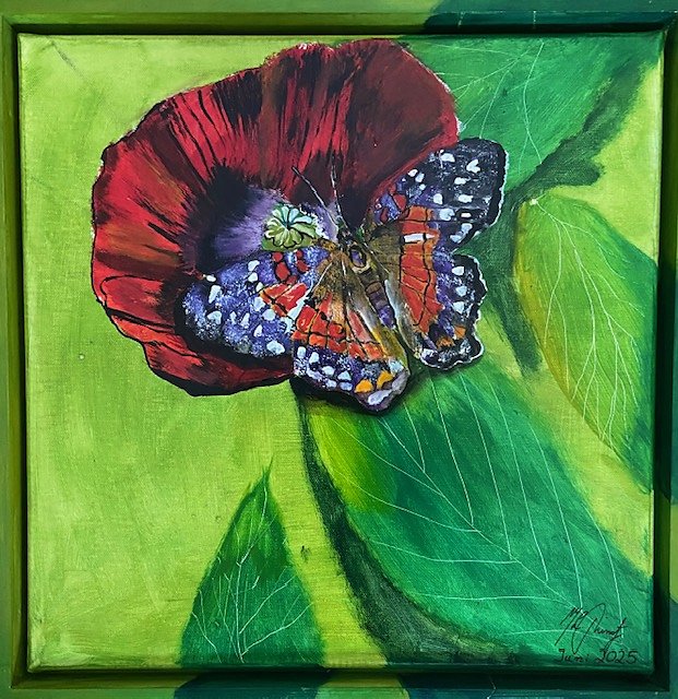 Schmetterling